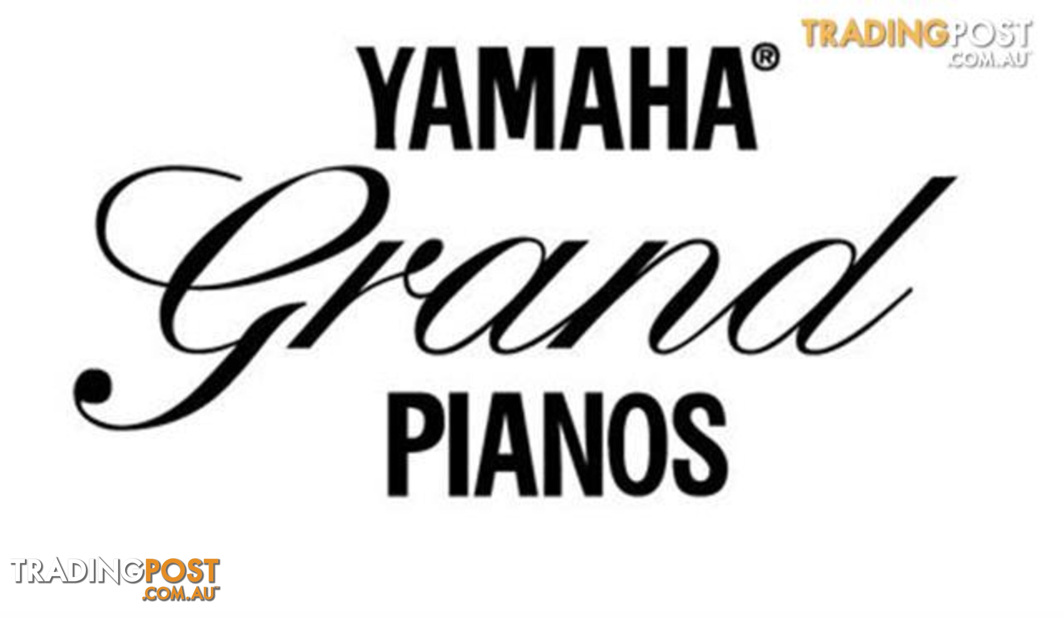 Yamaha C3XGrand Piano CX Series