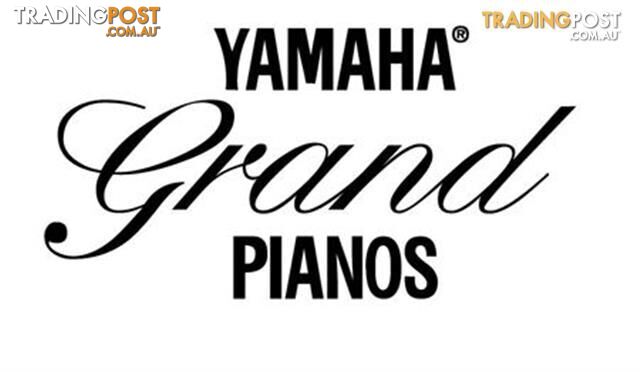 Yamaha C3XGrand Piano CX Series