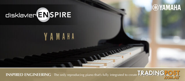 Yamaha C6 Grand Piano CX Series