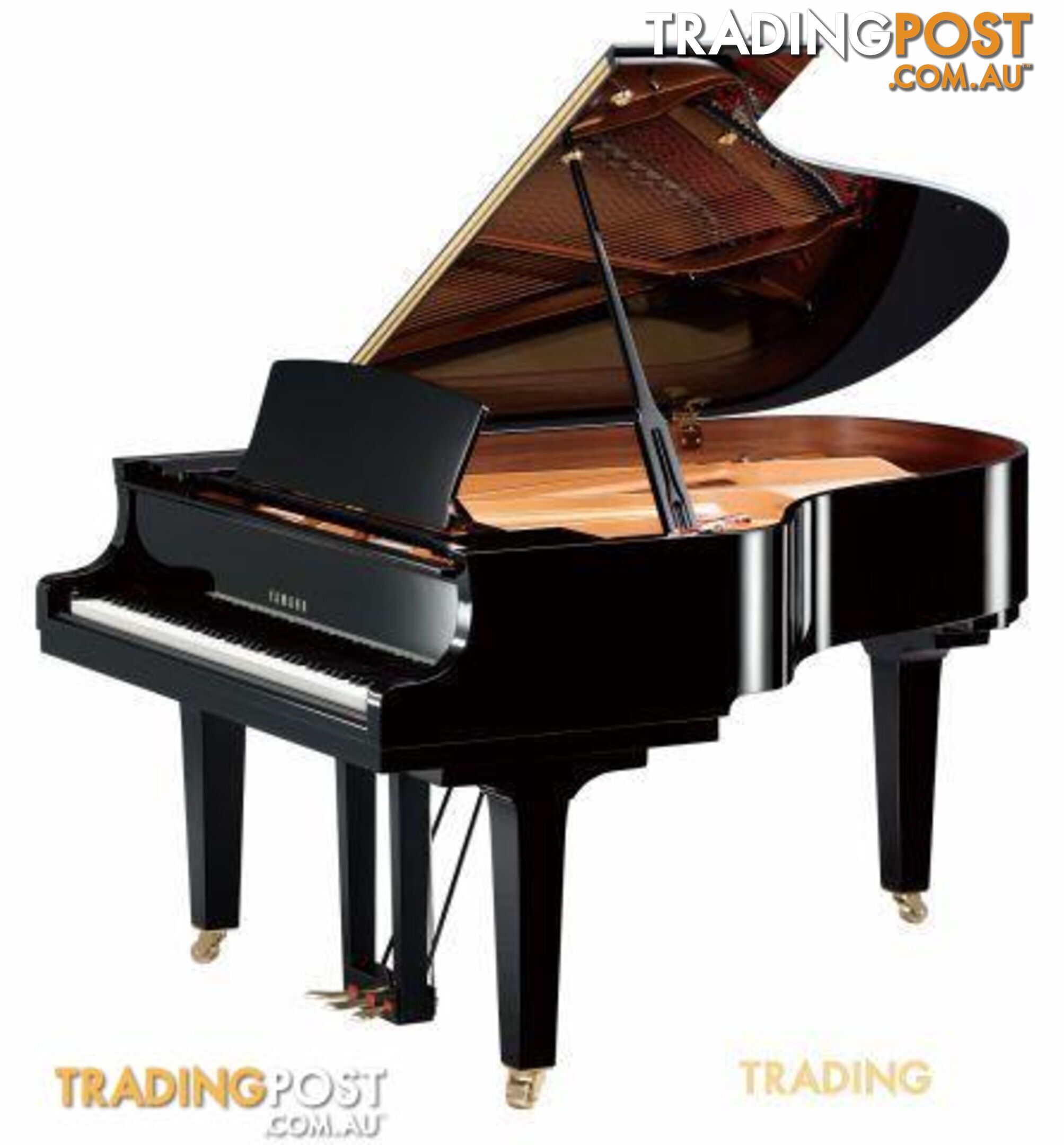 Yamaha C6 Grand Piano CX Series