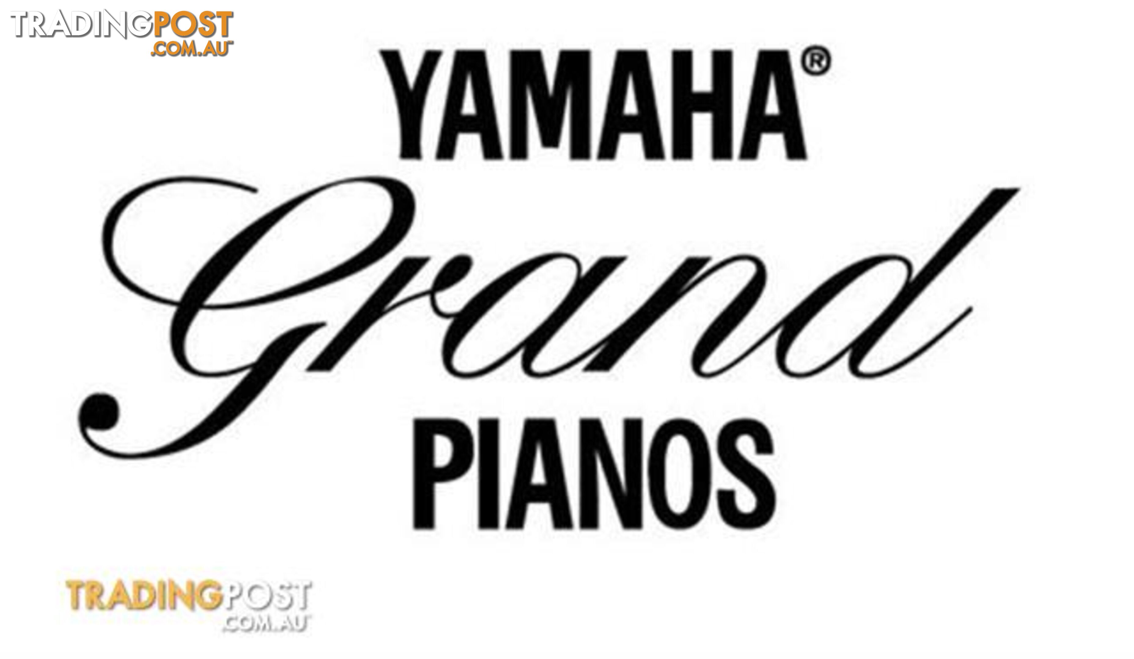 Yamaha C6 Grand Piano CX Series