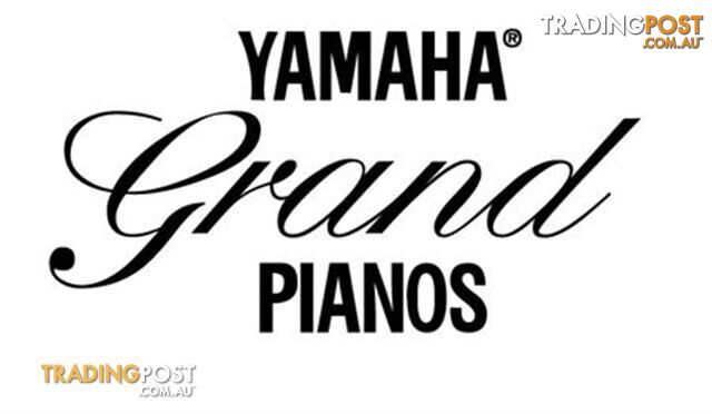 Yamaha C6 Grand Piano CX Series