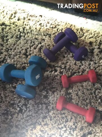Weights or dumbbell