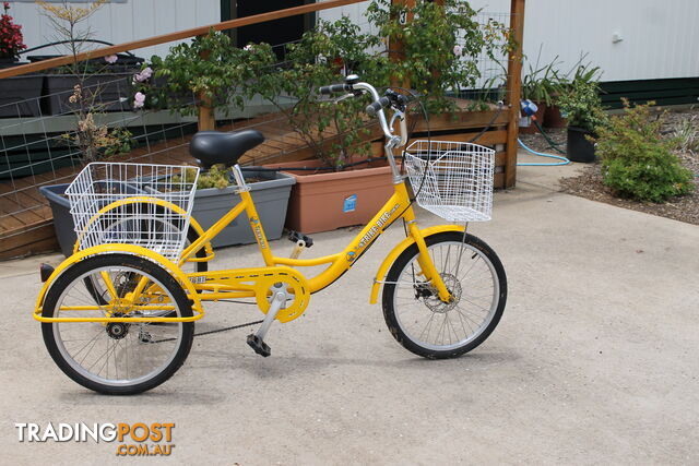 Brilliant yellow adult tricycle