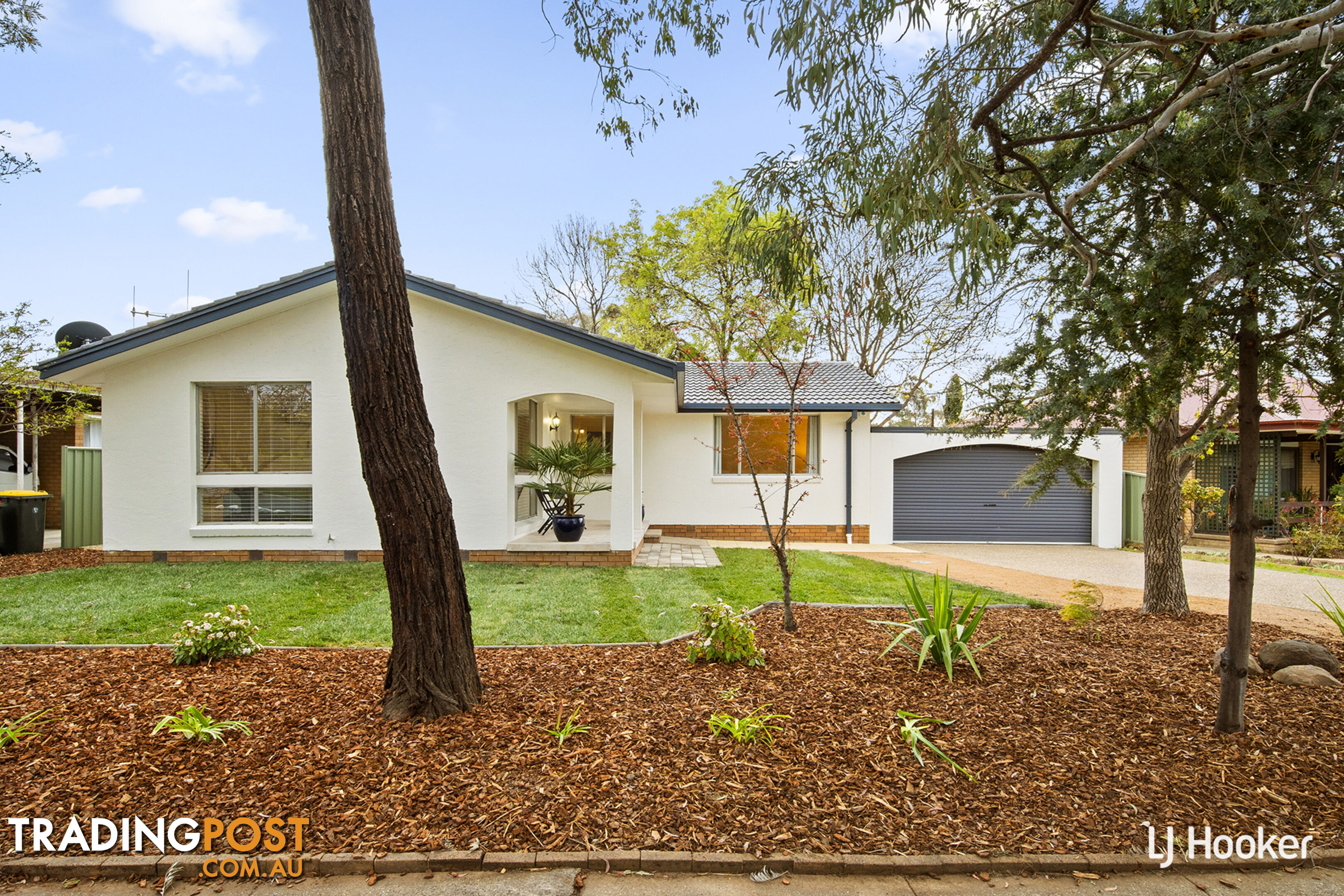 31 Mackinolty Street SCULLIN ACT 2614