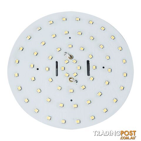 60 LED Round Replacement Globe