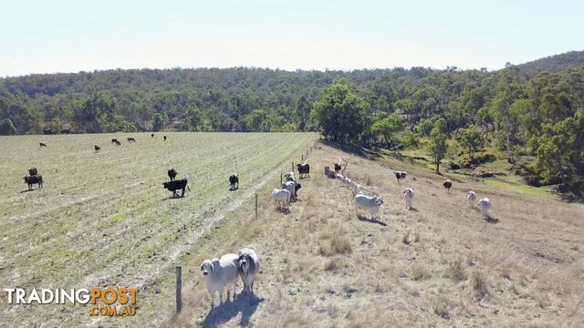 Upper Pilton QLD 4361