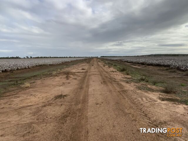 Part Farm 1082, 1386 Murrami Road Leeton NSW 2705