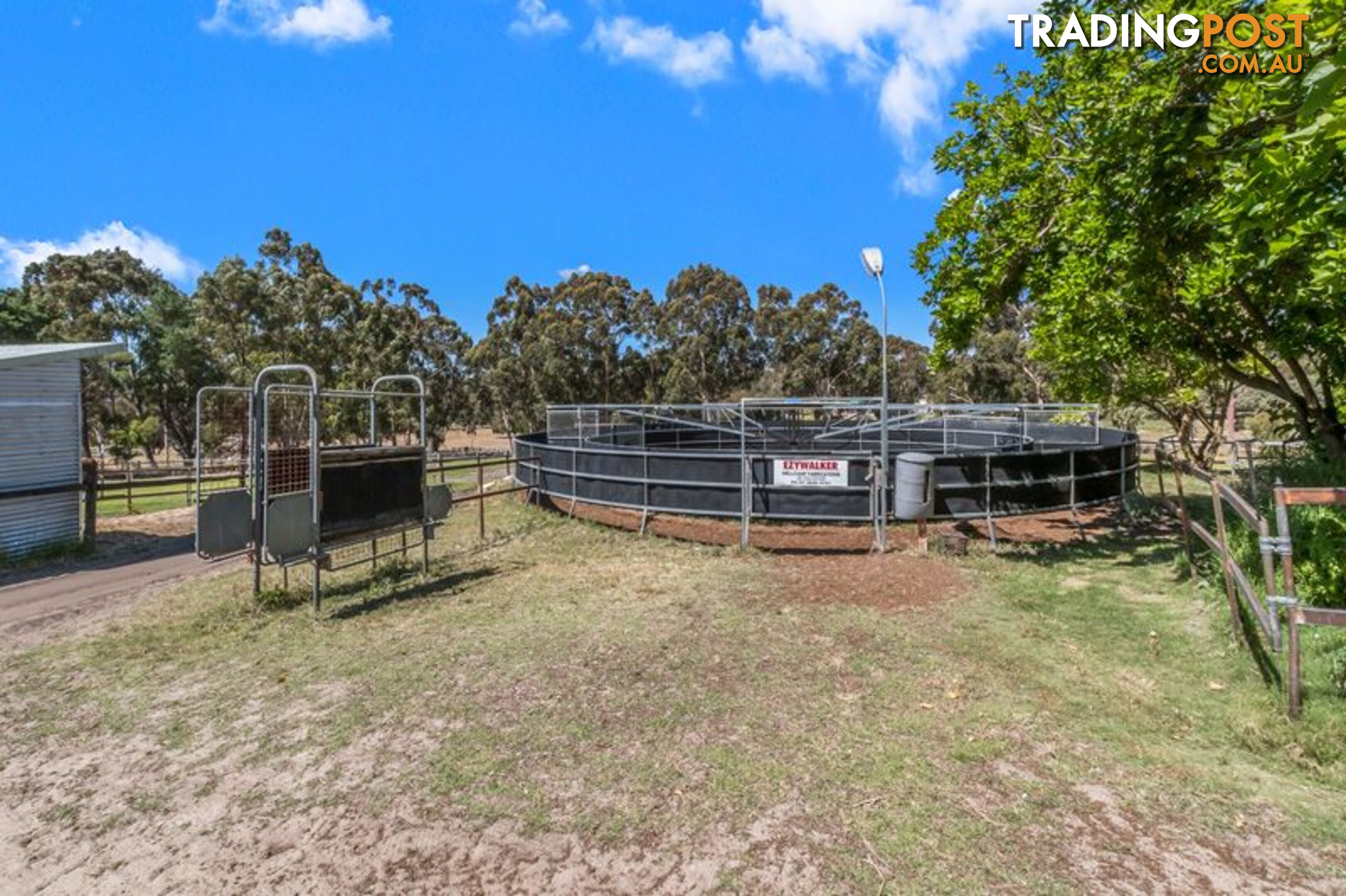 98 Karri Street Karnup WA 6176