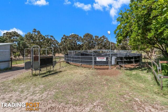 98 Karri Street Karnup WA 6176