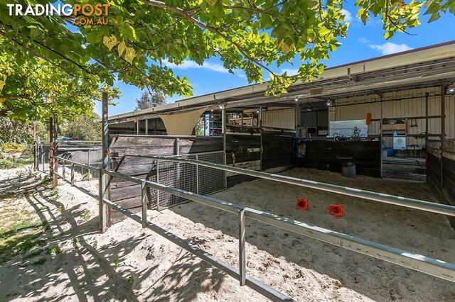 98 Karri Street Karnup WA 6176