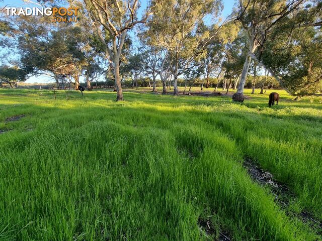 Eneabba WA 6518