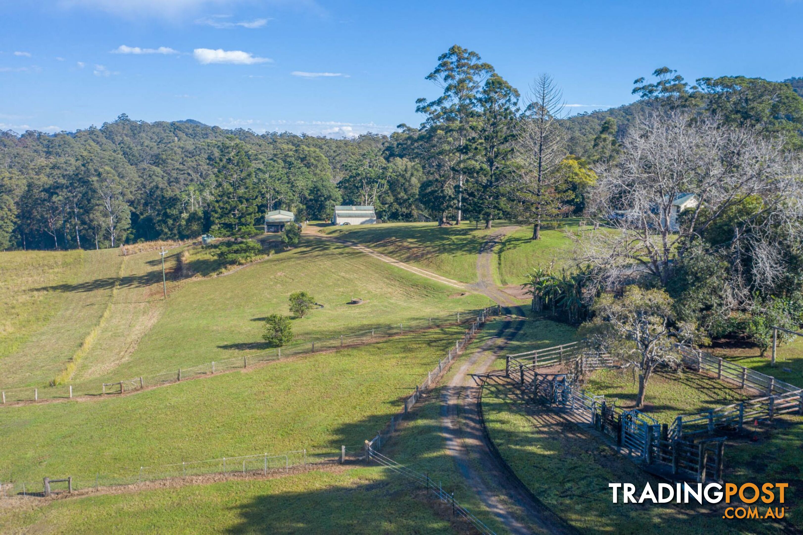 4358 Kyogle Road LILLIAN ROCK NSW 2480