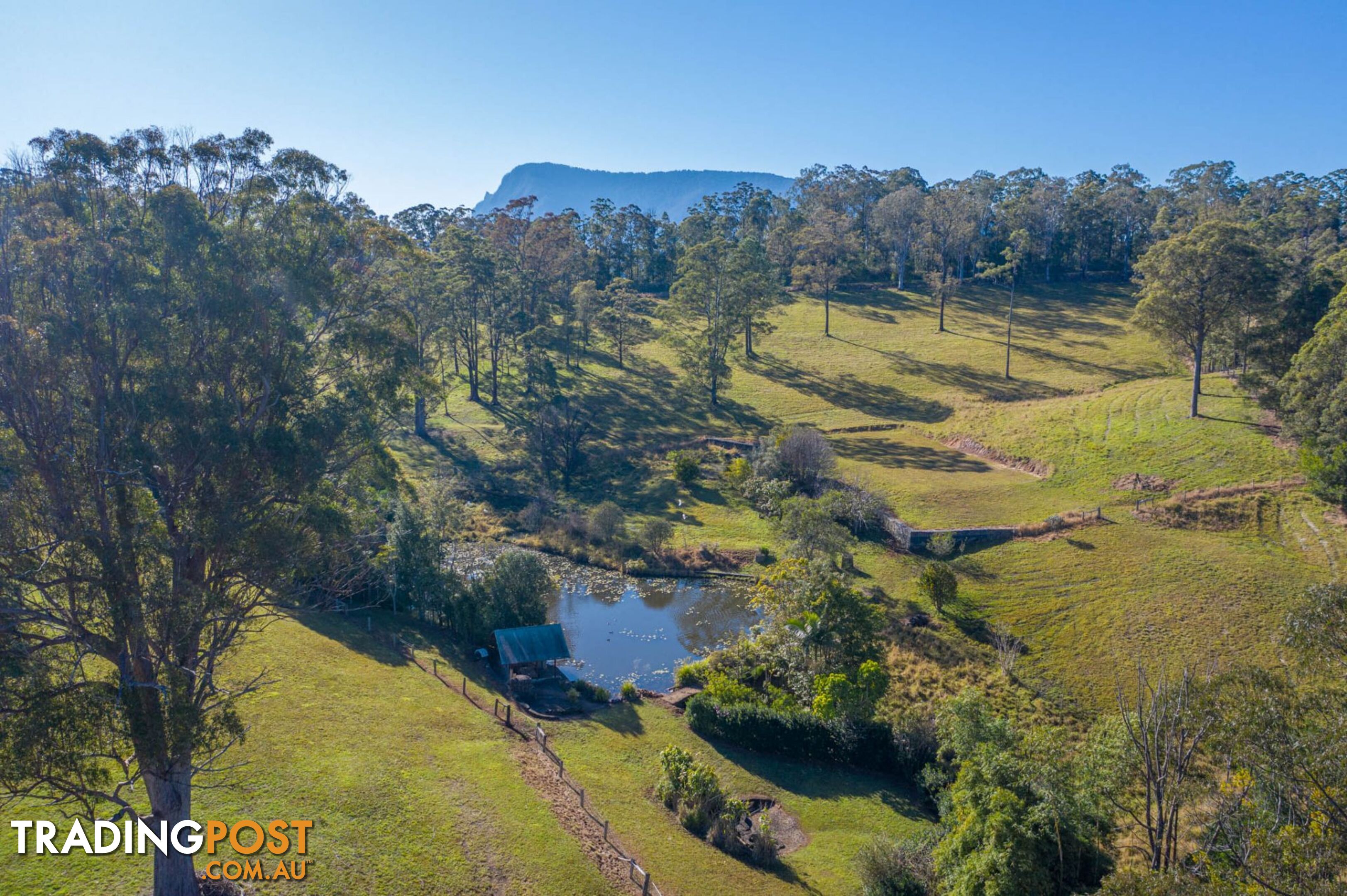 4358 Kyogle Road LILLIAN ROCK NSW 2480