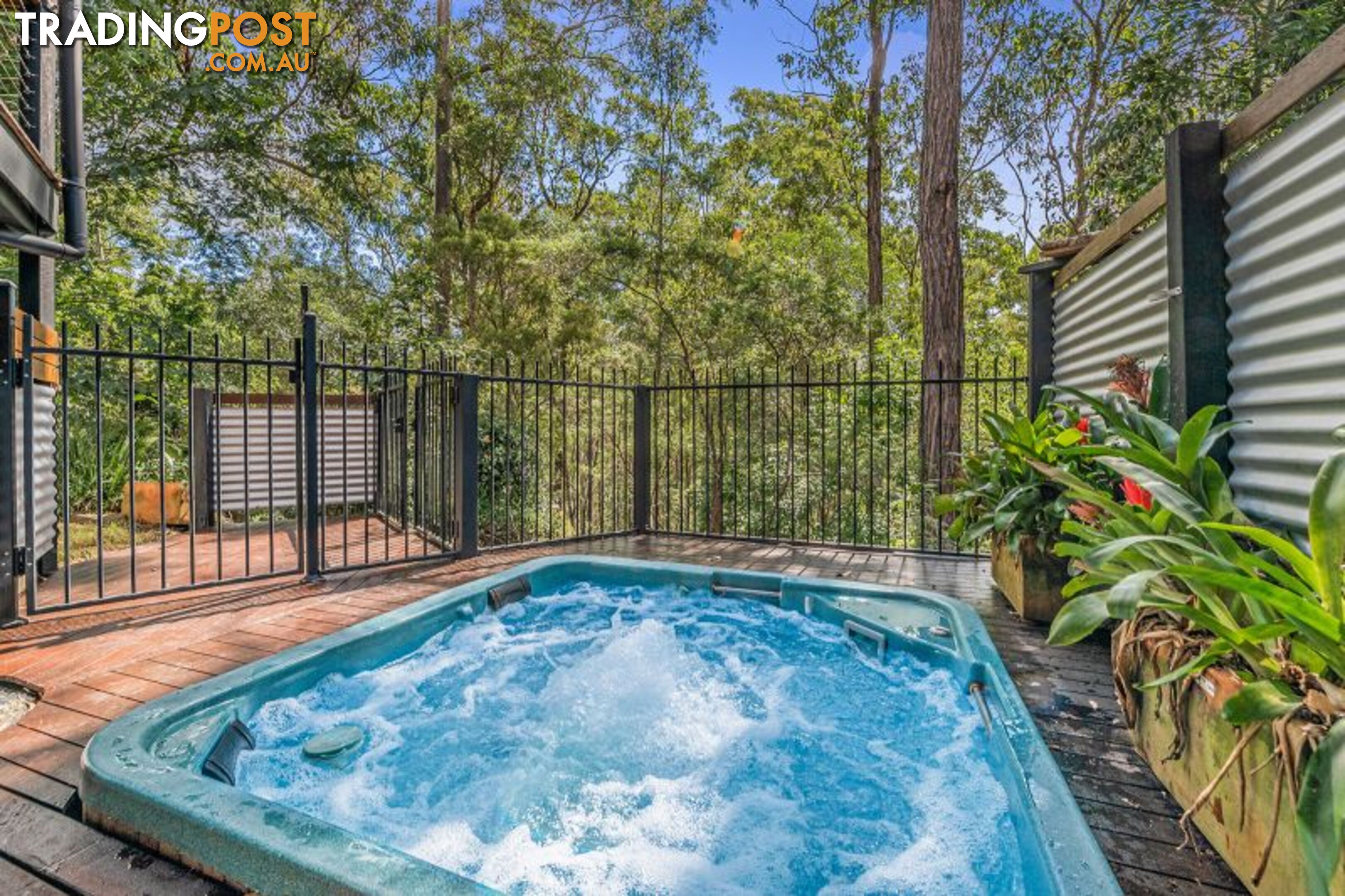 16 Moogerah Court Albany Creek QLD 4035