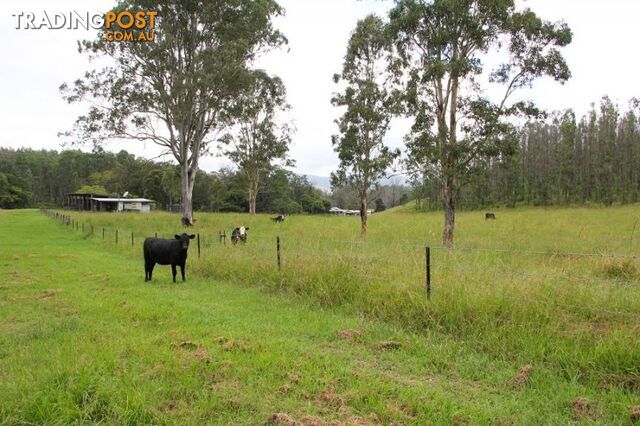 173 Hilderbrands Road Dairy Flat NSW 2474