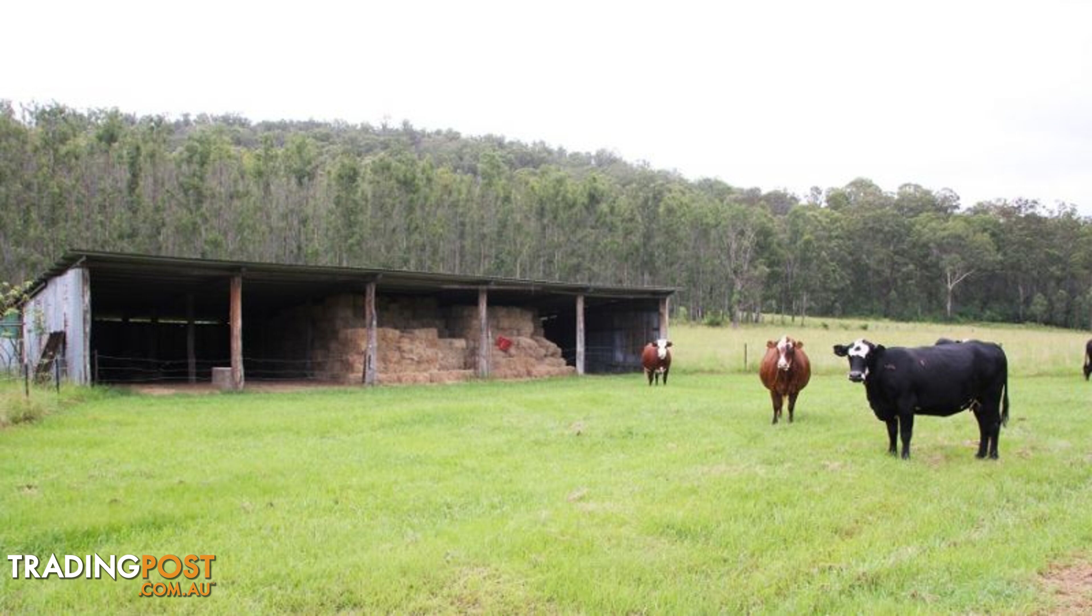 173 Hilderbrands Road Dairy Flat NSW 2474