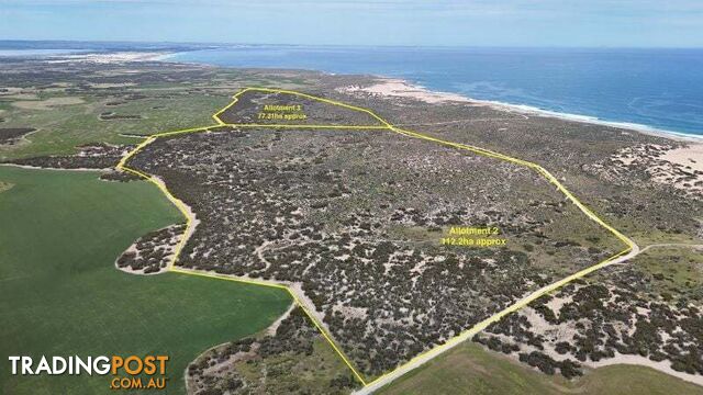 Lot 2 & 3 Mount Camel Road TALIA SA 5670