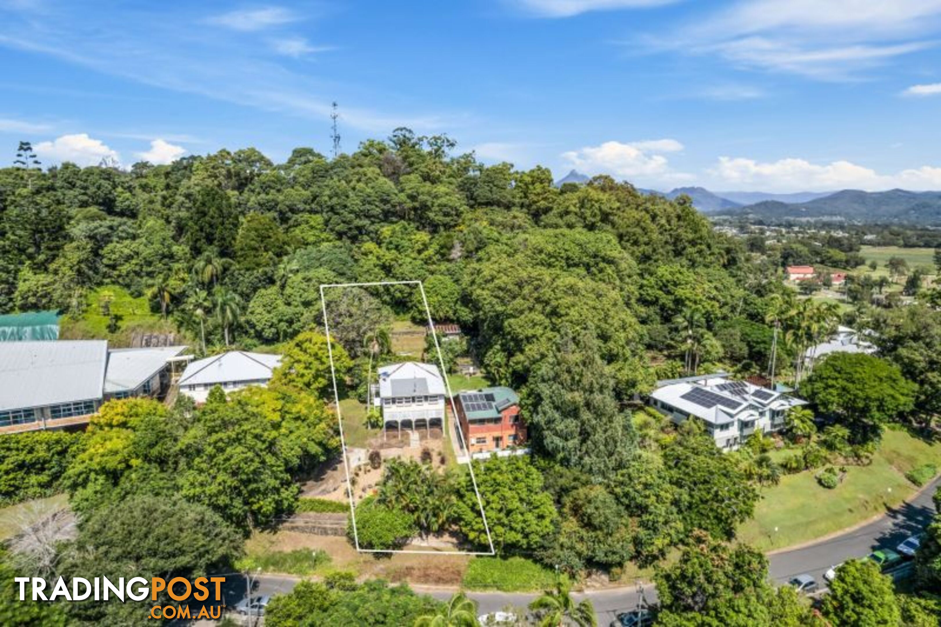 10 Ewing Street Murwillumbah NSW 2484