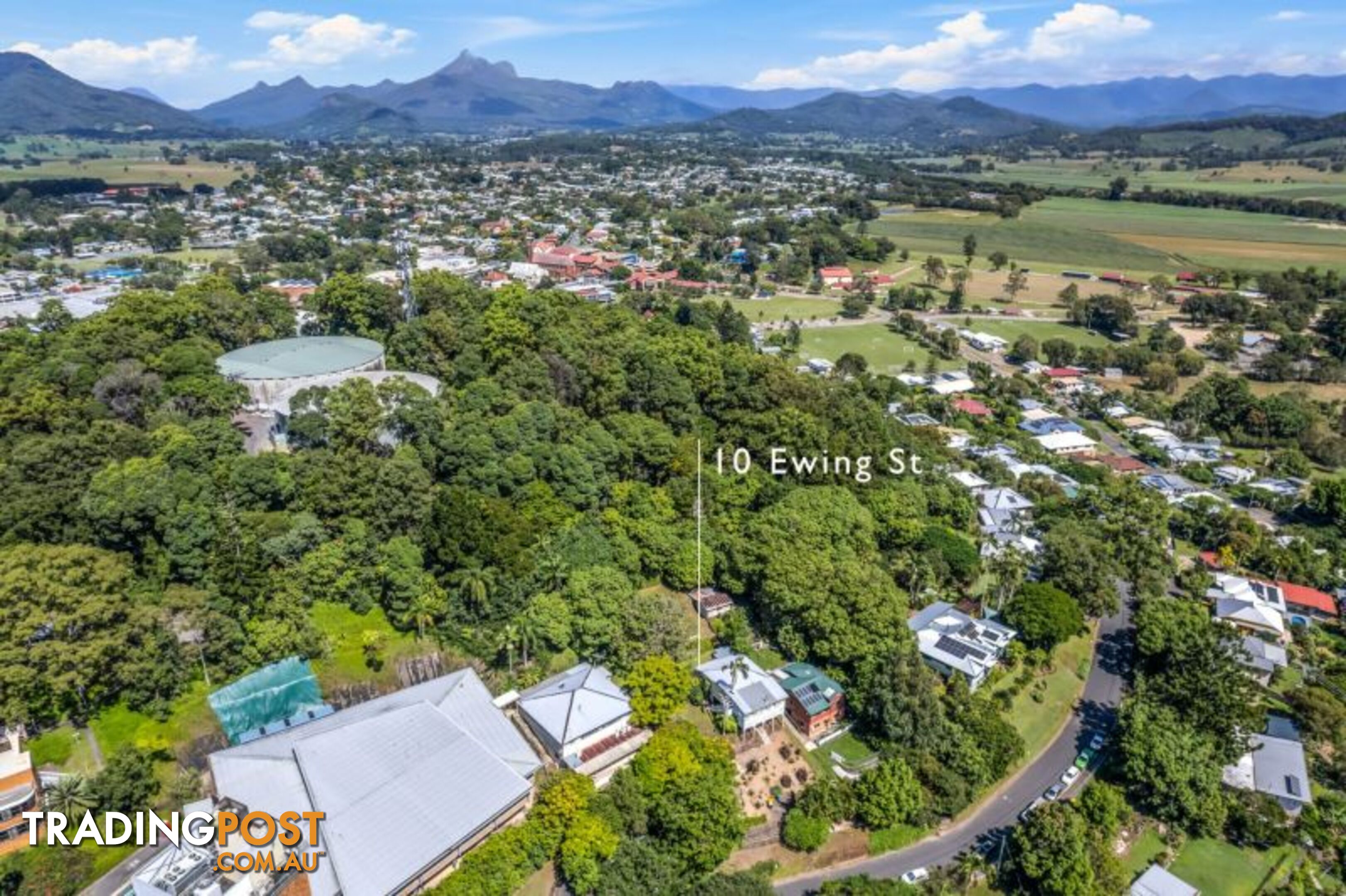 10 Ewing Street Murwillumbah NSW 2484