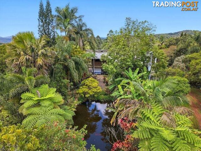 94 Ellinjaa Road Millaa Millaa QLD 4886