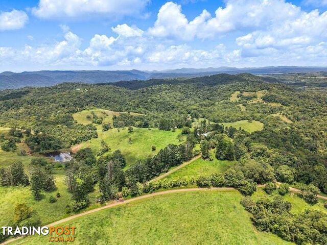 94 Ellinjaa Road Millaa Millaa QLD 4886