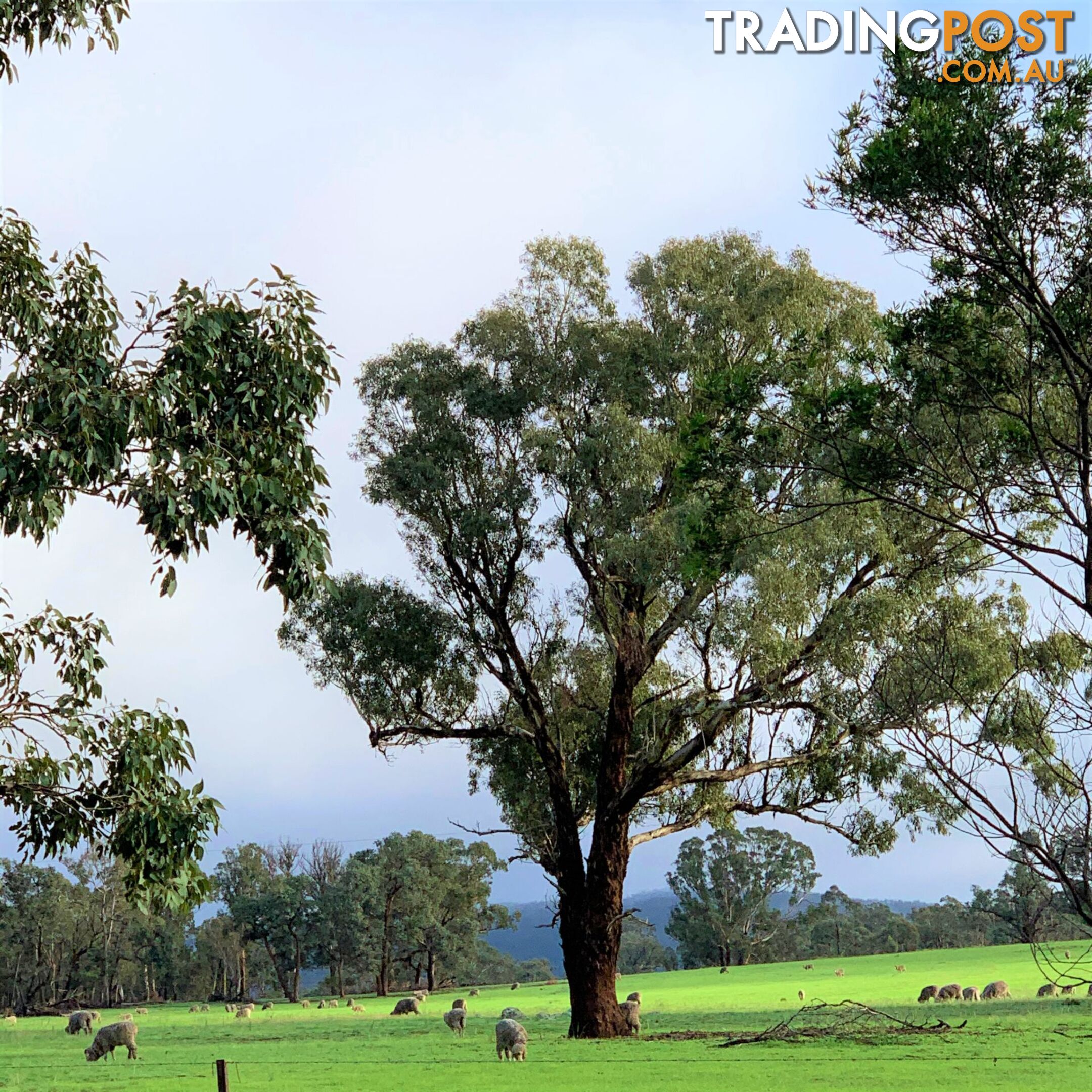 Bungonia NSW 2580