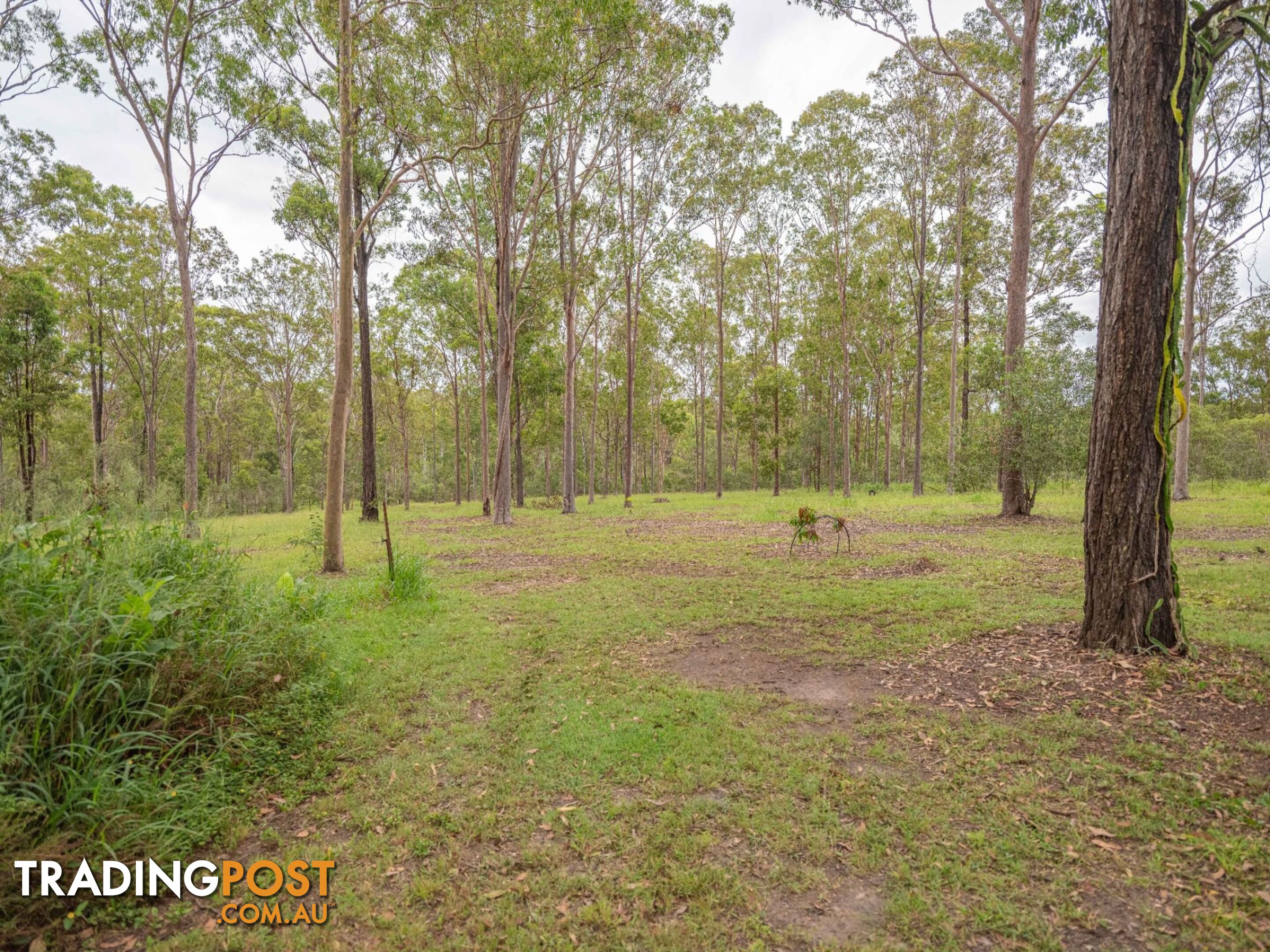 107 Cliff Jones Road Curra QLD 4570