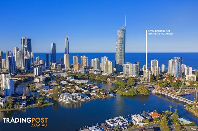 57 43 Enderley Avenue Surfers Paradise QLD 4217