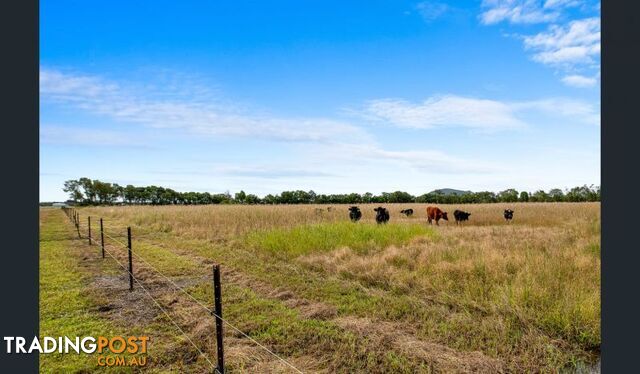 198 Burtons Road Maroochy River QLD 4561