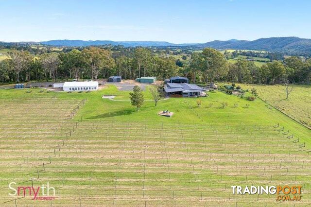 874 Cobargo Bermagui Road Coolagolite NSW 2550 - photo 3 of 35