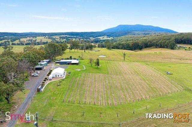 874 Cobargo Bermagui Road Coolagolite NSW 2550 - photo 5 of 35