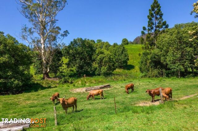 250 Perseverance Road Kin Kin QLD 4571