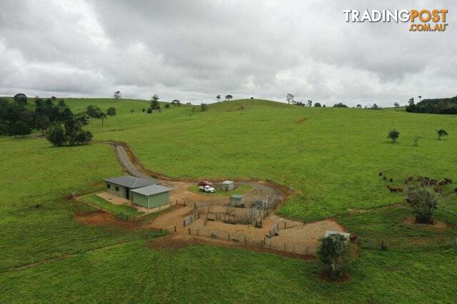 Millaa Millaa QLD 4886