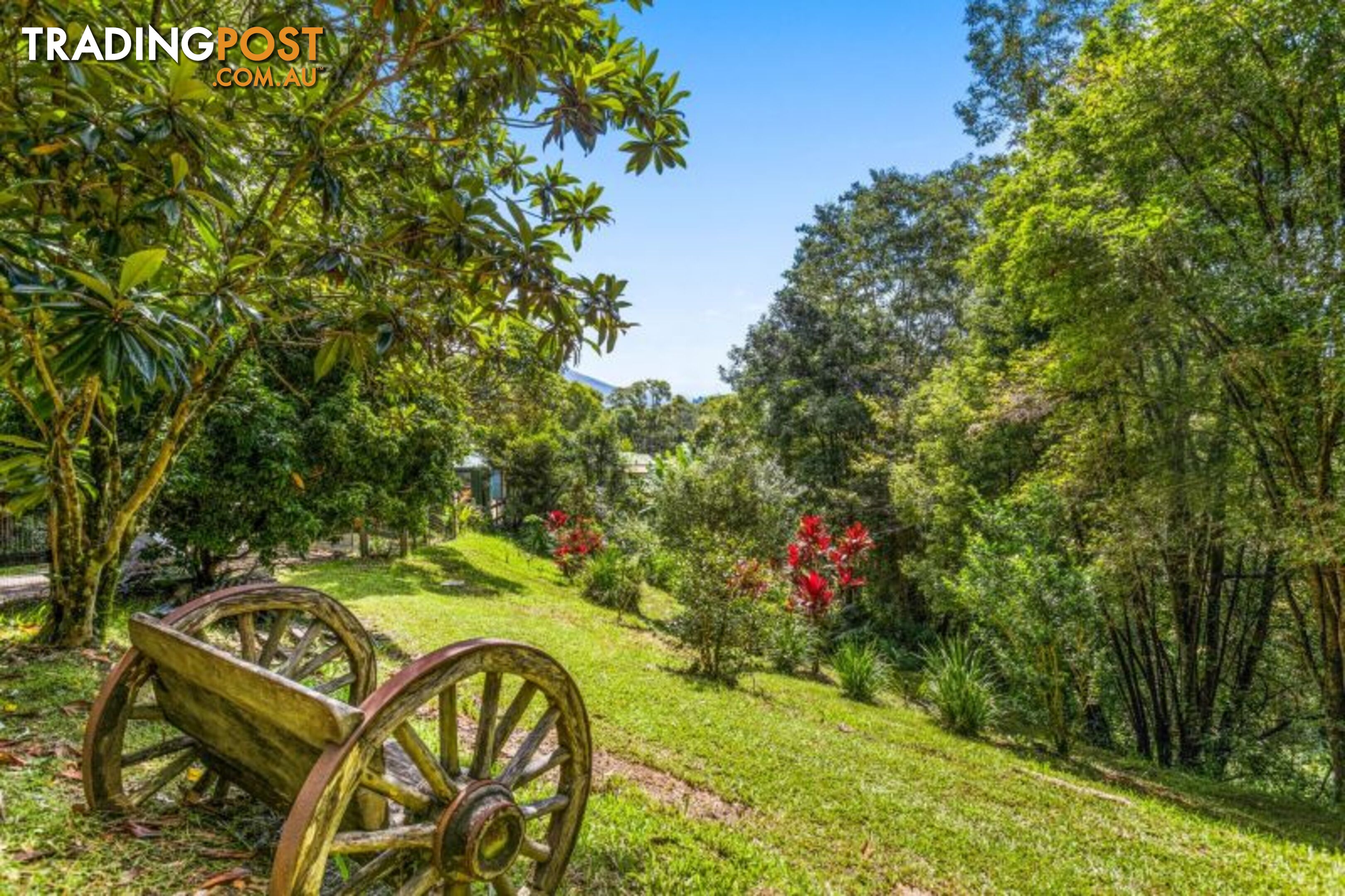 79 Clareville Road Smiths Creek NSW 2484