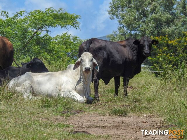 Boyne Valley QLD 4680