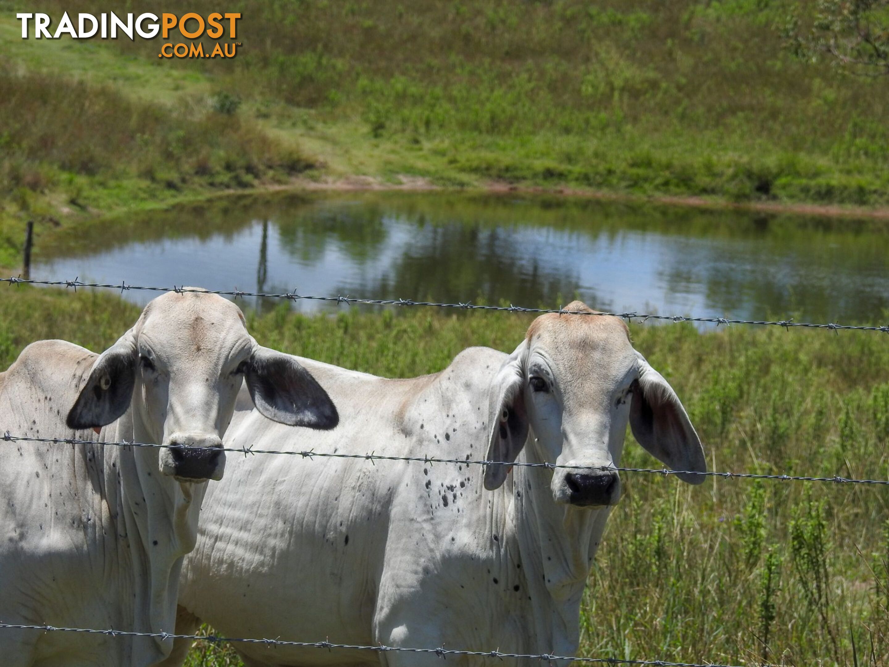 Boyne Valley QLD 4680