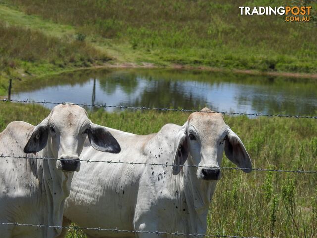 Boyne Valley QLD 4680