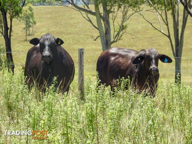 Boyne Valley QLD 4680