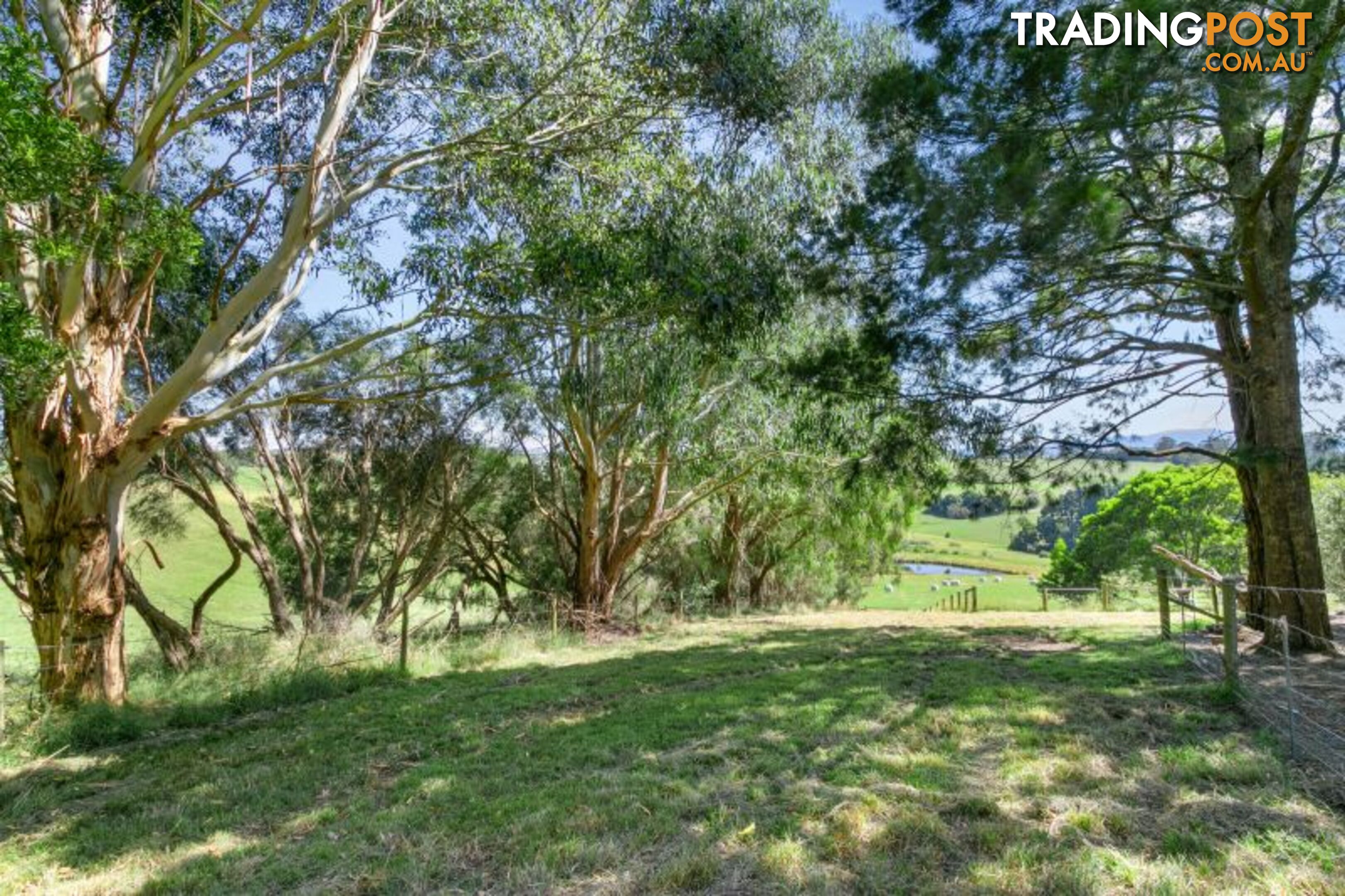 61 Rendell Road Neerim East VIC 3831