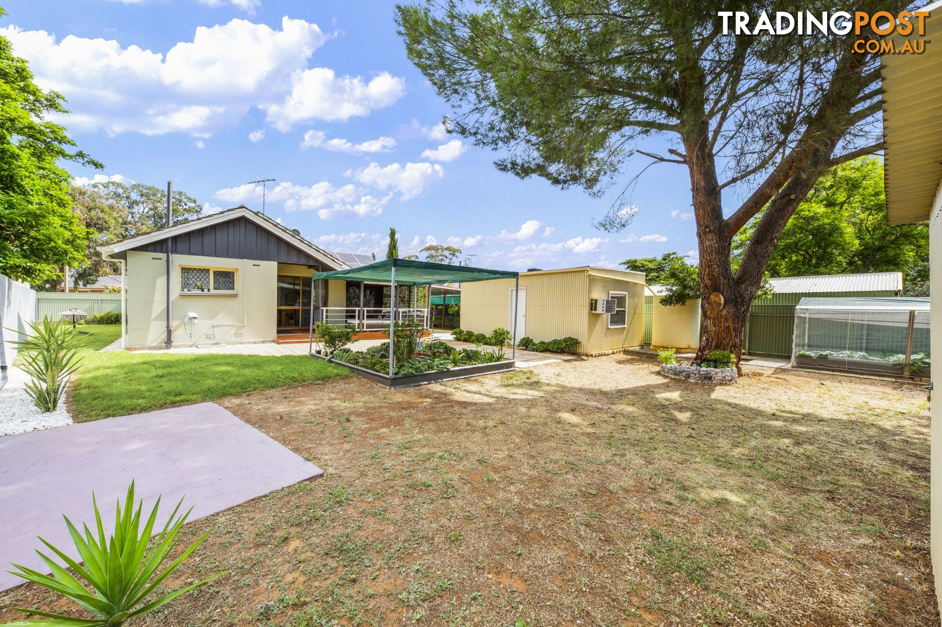 15 Lindsay Street Elizabeth Downs SA 5113