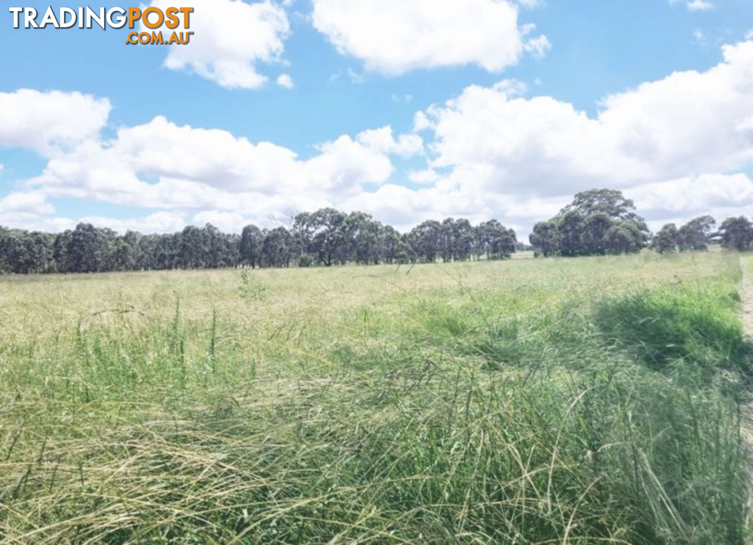 lot 116 Cronin Road Cabarlah QLD 4352