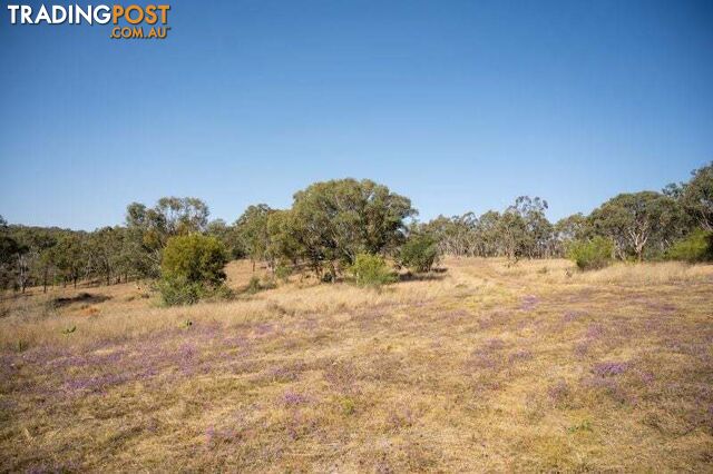 Lot 8 Edens Chase Rosenthal Heights QLD 4370 - photo 4 of 11