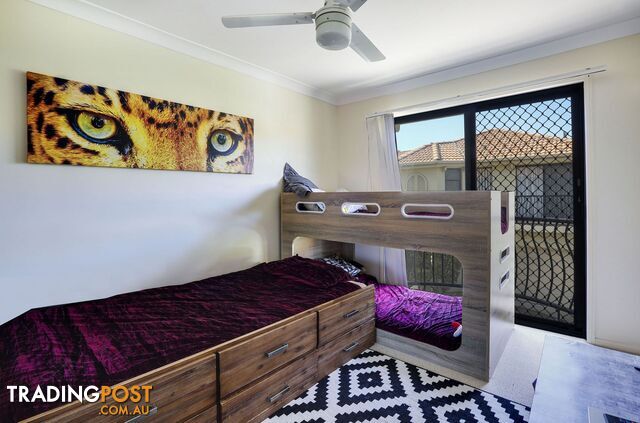 7 141 Cotlew Street Ashmore QLD 4214