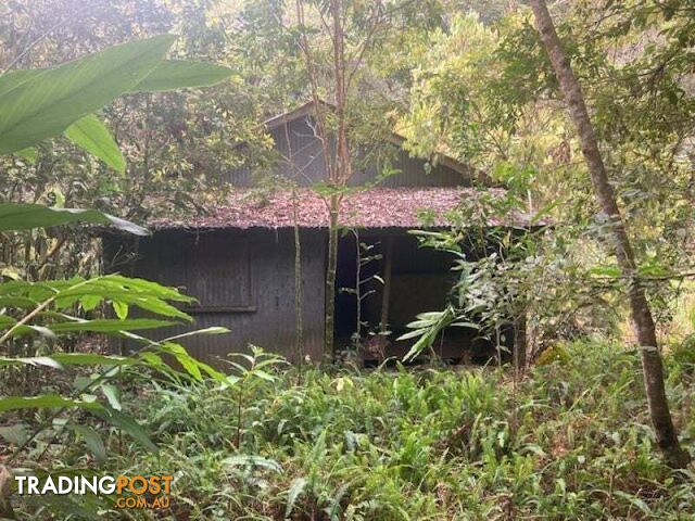 324 Kjellberg Road Millaa Millaa QLD 4886
