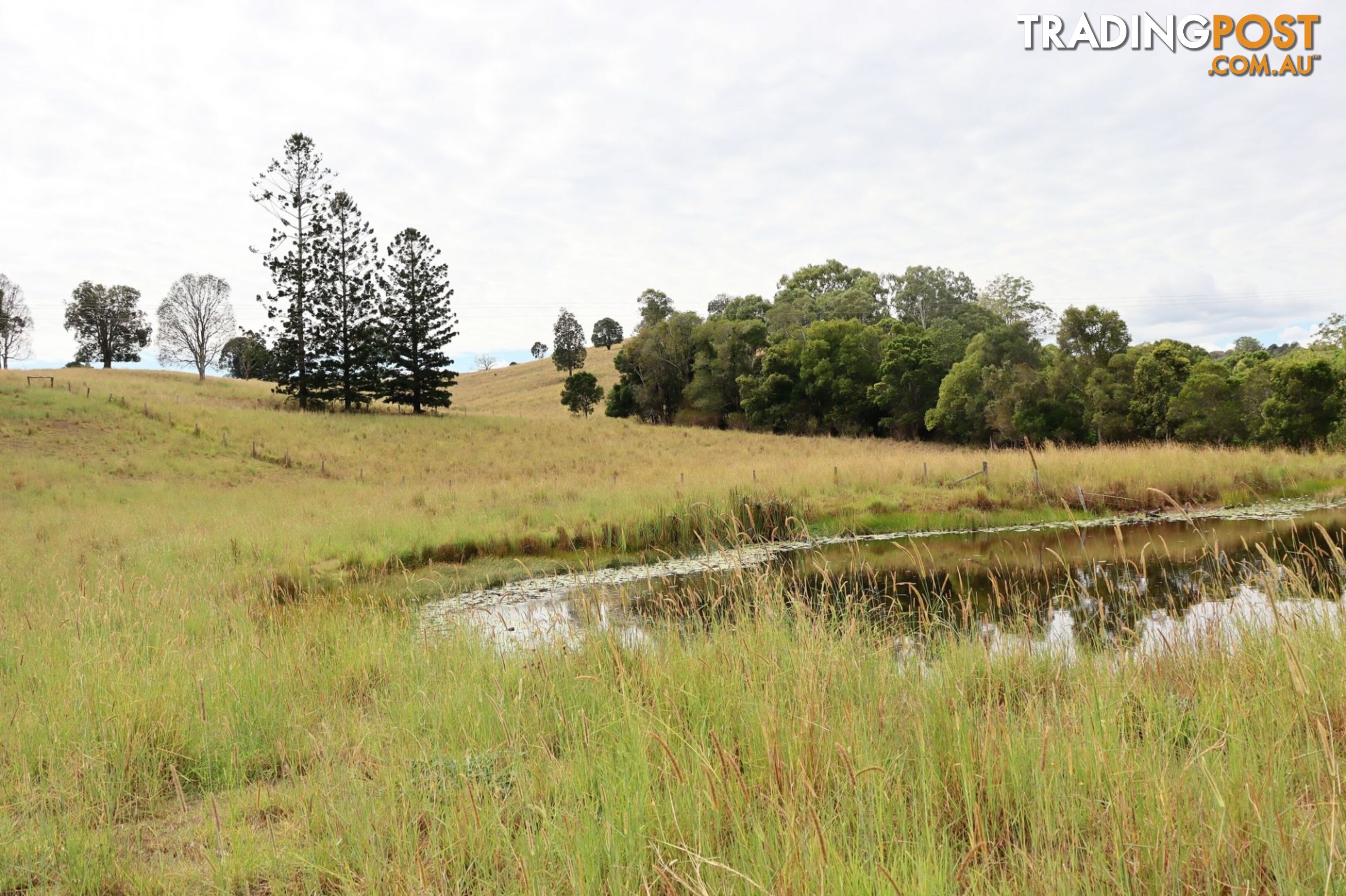 676 Sandy Creek Road Veteran QLD 4570