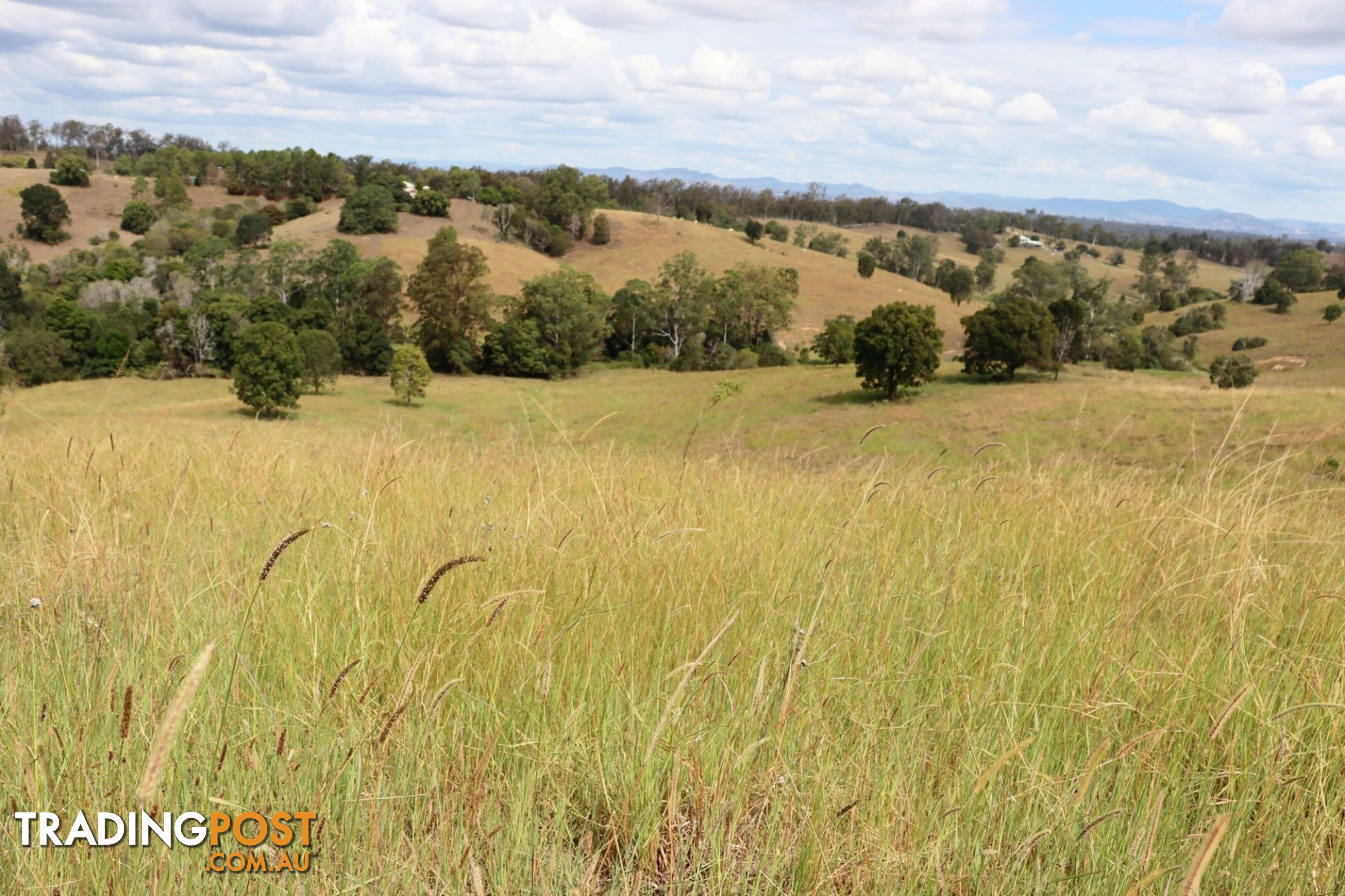 676 Sandy Creek Road Veteran QLD 4570