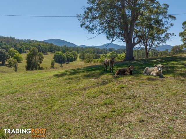 94 Hutchinson Road Nimbin NSW 2480