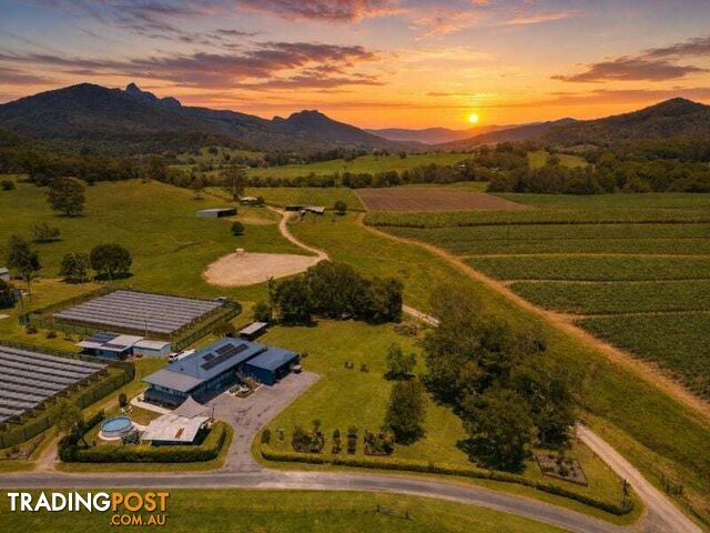 236 Old Lismore Road Byangum NSW 2484