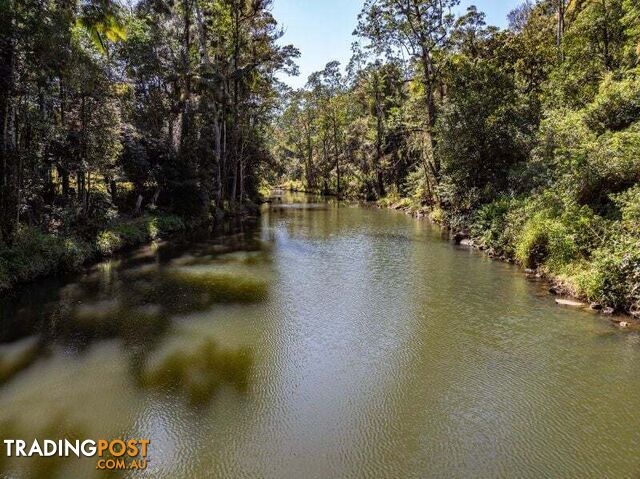 675 Terania Creek Road THE CHANNON NSW 2480 - photo 2 of 34